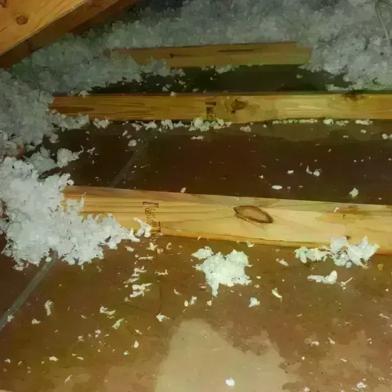 Attic Water Damage in Marinette County, WI