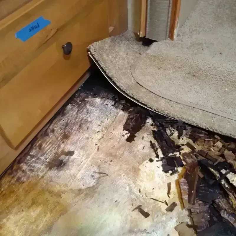 Wood Floor Water Damage in Marinette County, WI